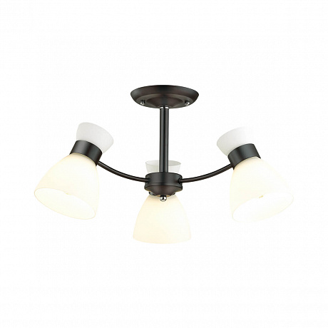 Lumion Wilma 4534/3C