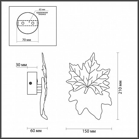 Odeon Light Eva 4371/3WL