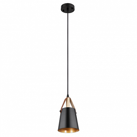 Arte Lamp THOMAS A7032SP-1BK