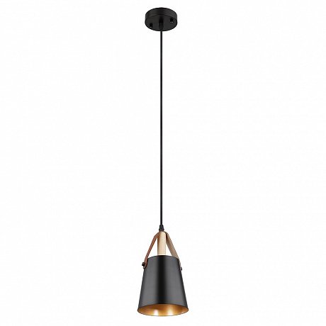 Arte Lamp THOMAS A7032SP-1BK